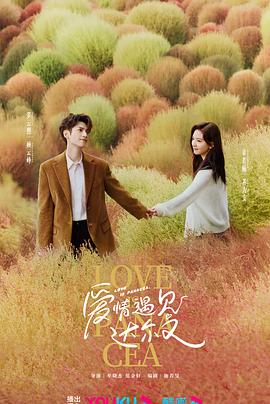 福州市优化网站方案设计